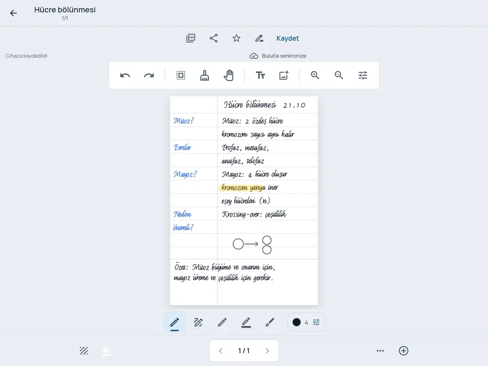 Tablette uygulama: Cornell kağıdına el yazısıyla alınmış biyoloji notu; solda ipucu soruları, sağda notlar, altta özet.